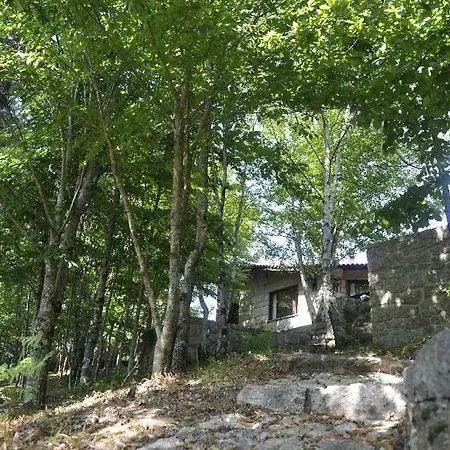 Casa Rio